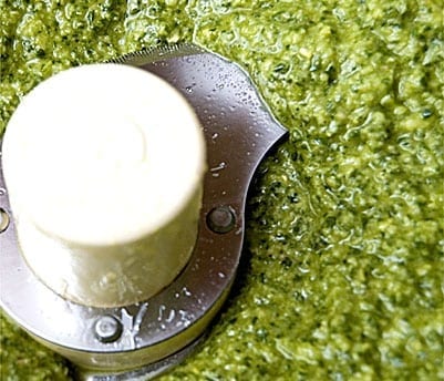 Pesto Pesto